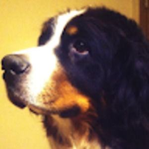 Meet your Posher, Sue